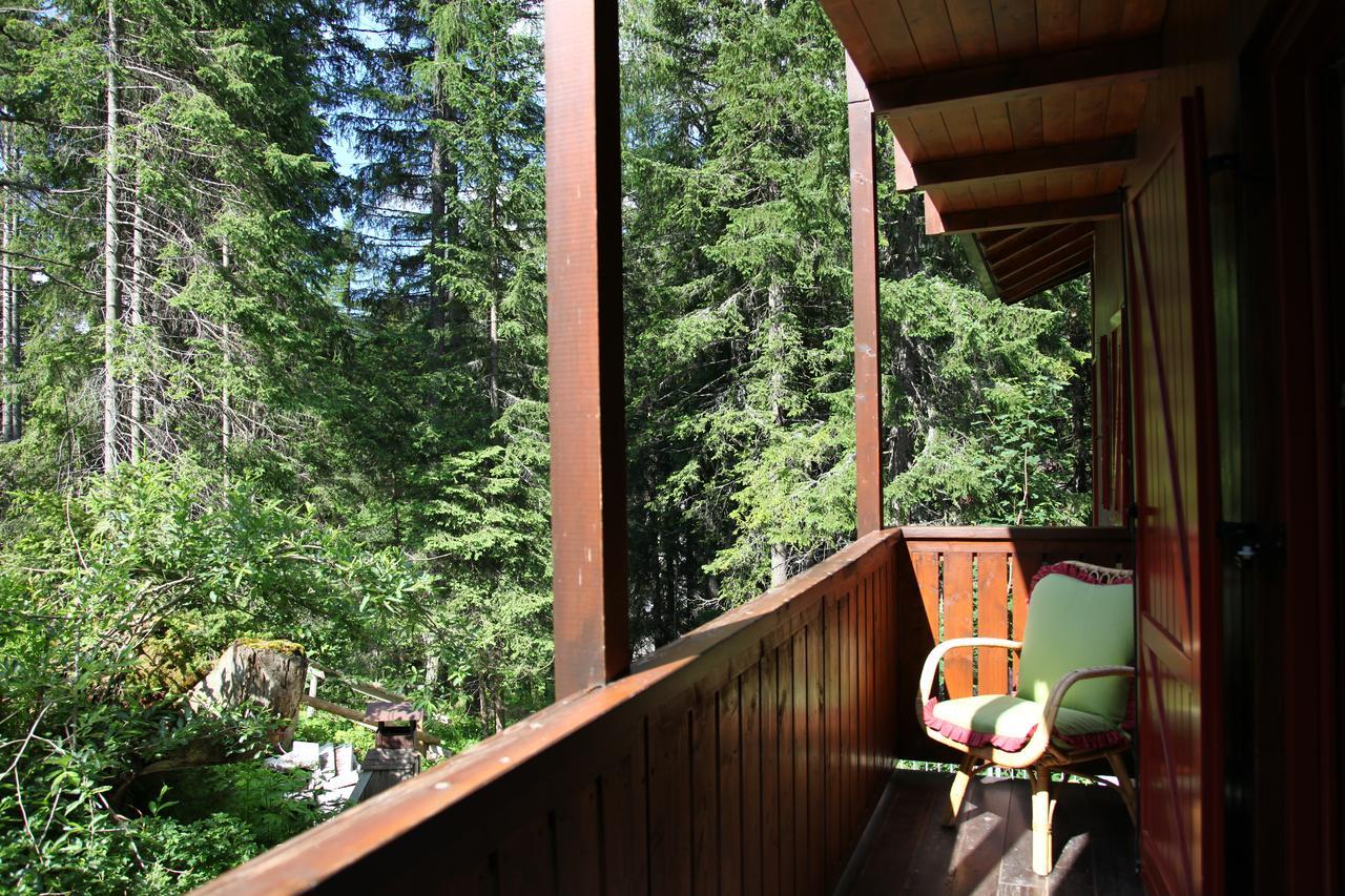 Madonna Chalet Dei Piniアパートホテル エクステリア 写真